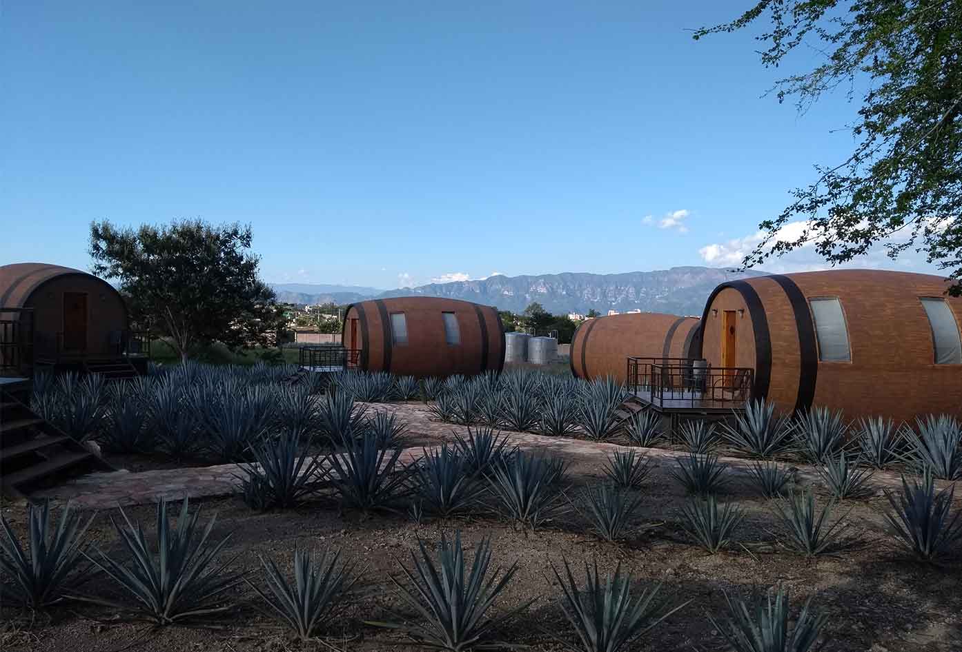 Things To Do In Tequila Jalisco, Mexico Travel Guide